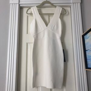 BCBGMaxAzria Bodycon Dress